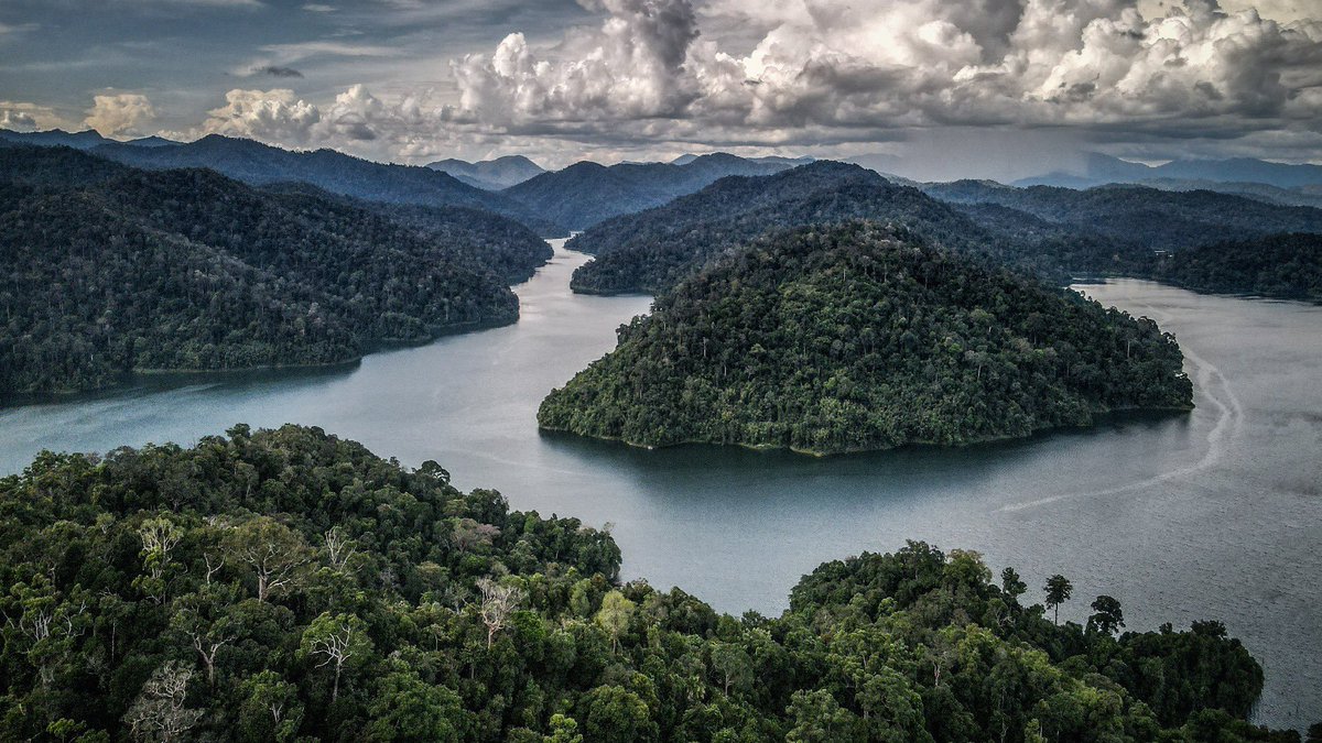 climateaidil's tweet photo. Can’t believe we’d prefer data centres that consume huge amounts of water &amp; releases a lot of CO2 instead of these ecosystems that protect our water &amp; sequester carbon. https://t.co/Lz1crh0Yf9