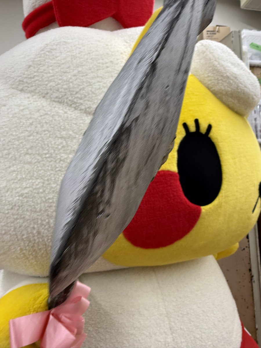 可愛いと強さの二刀流

 #ジンギスカンのカンくん