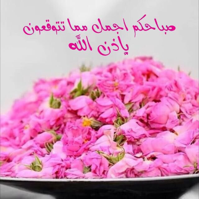 الكنز المجهول (@alkanz2012) on Twitter photo 