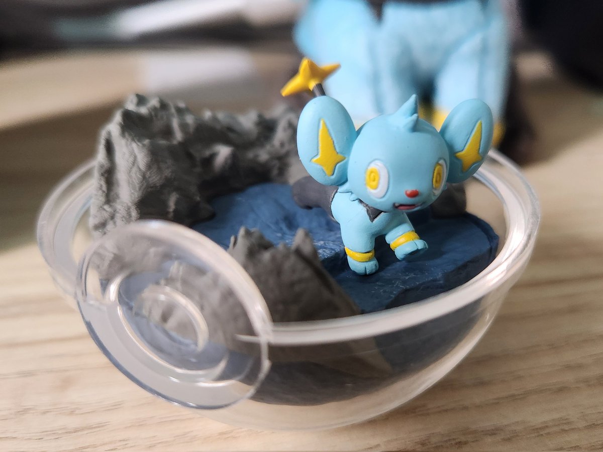 아기 테라리움 왔다
푸하하하하너무바보