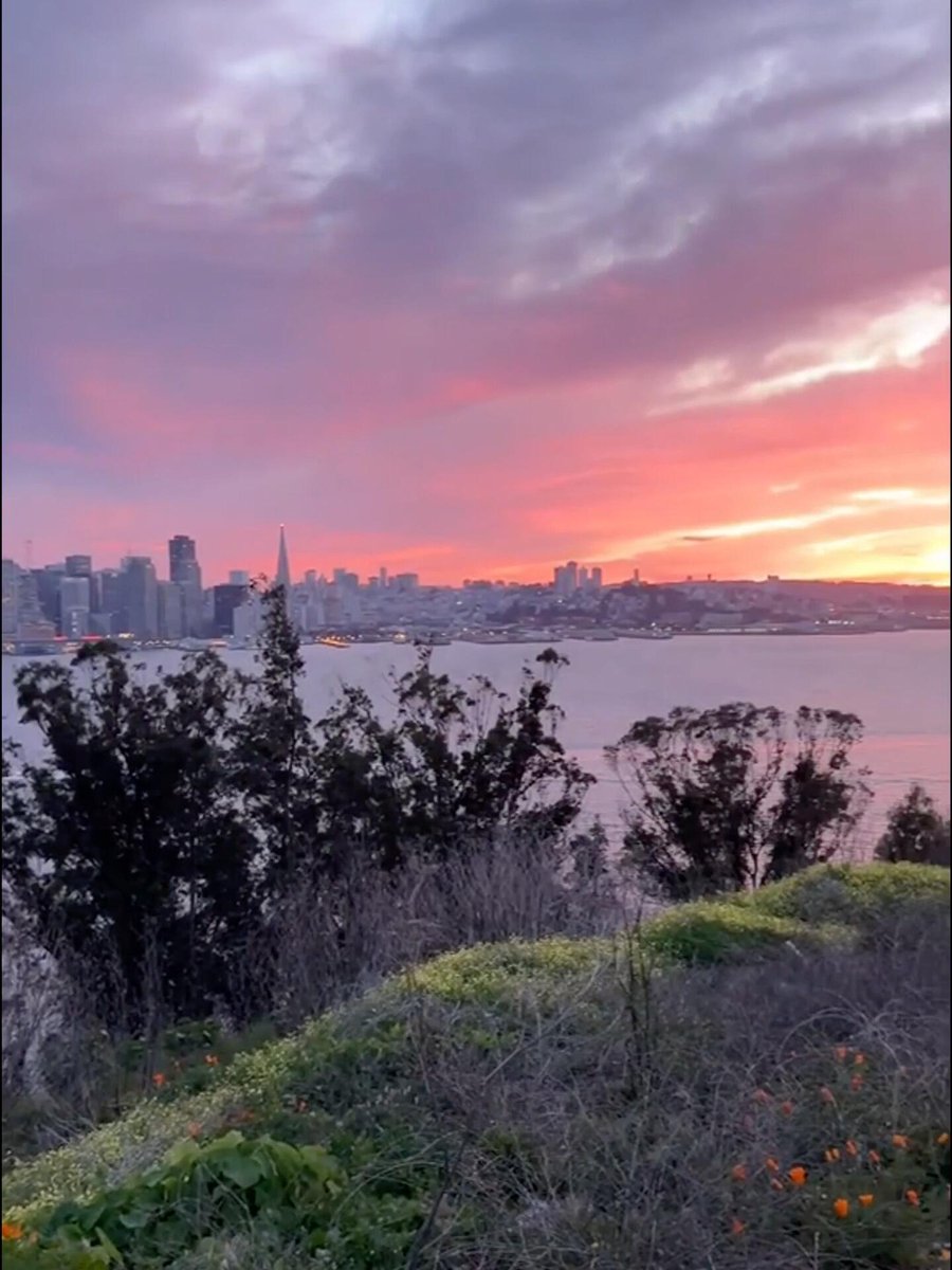 A daily life where ideals and reality coexist