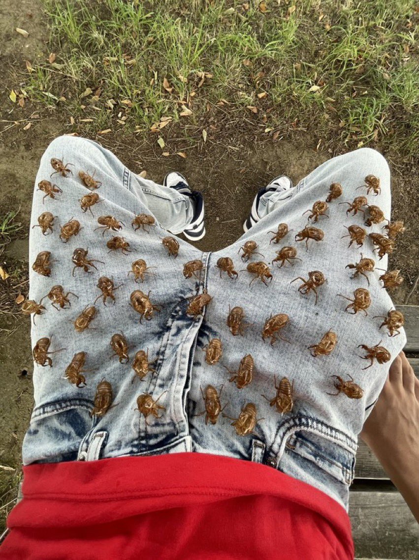 JNKMN 🅨 ｼﾞｬﾝﾒﾝ (@still420now) on Twitter photo 