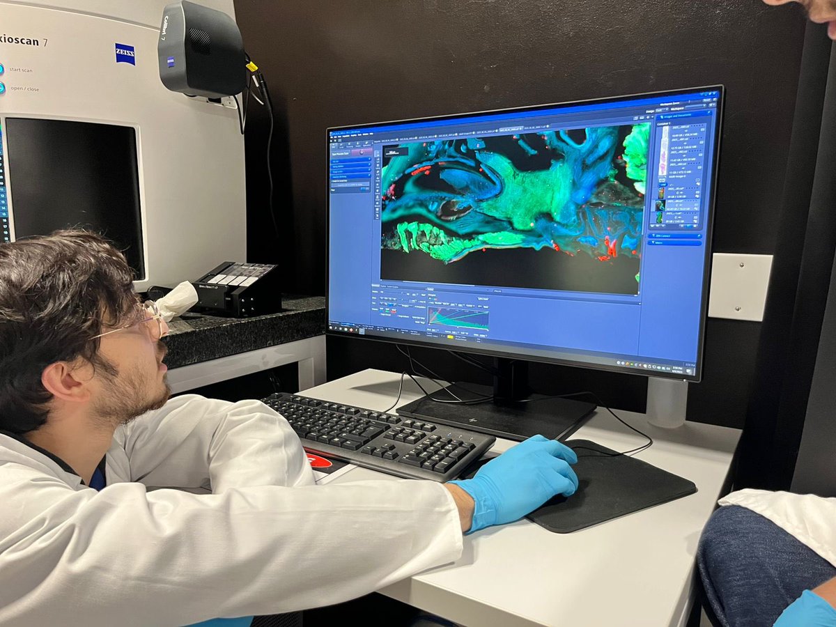 fungalhyphae's tweet photo. A tiny snippet of the action from the first Mycology Bioimaging training course. Thank you @wellcometrust @MRCcmm for the support.  Very satisfied with how it went and loved CapeTown @AMI_microscopy @UCT_news https://t.co/v3WxyAAXlf