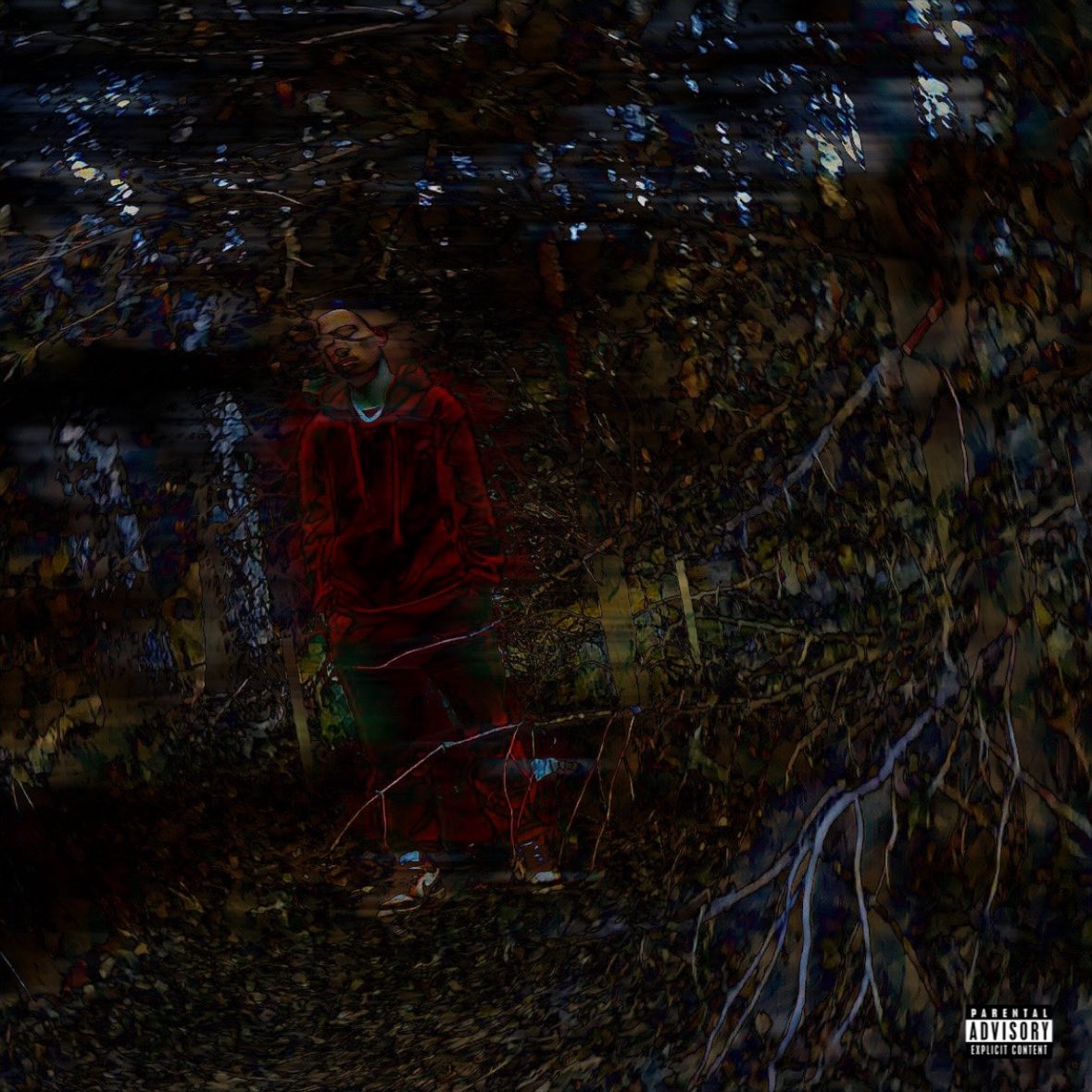 EXPEREMENTAL • The Album 8.15 💿