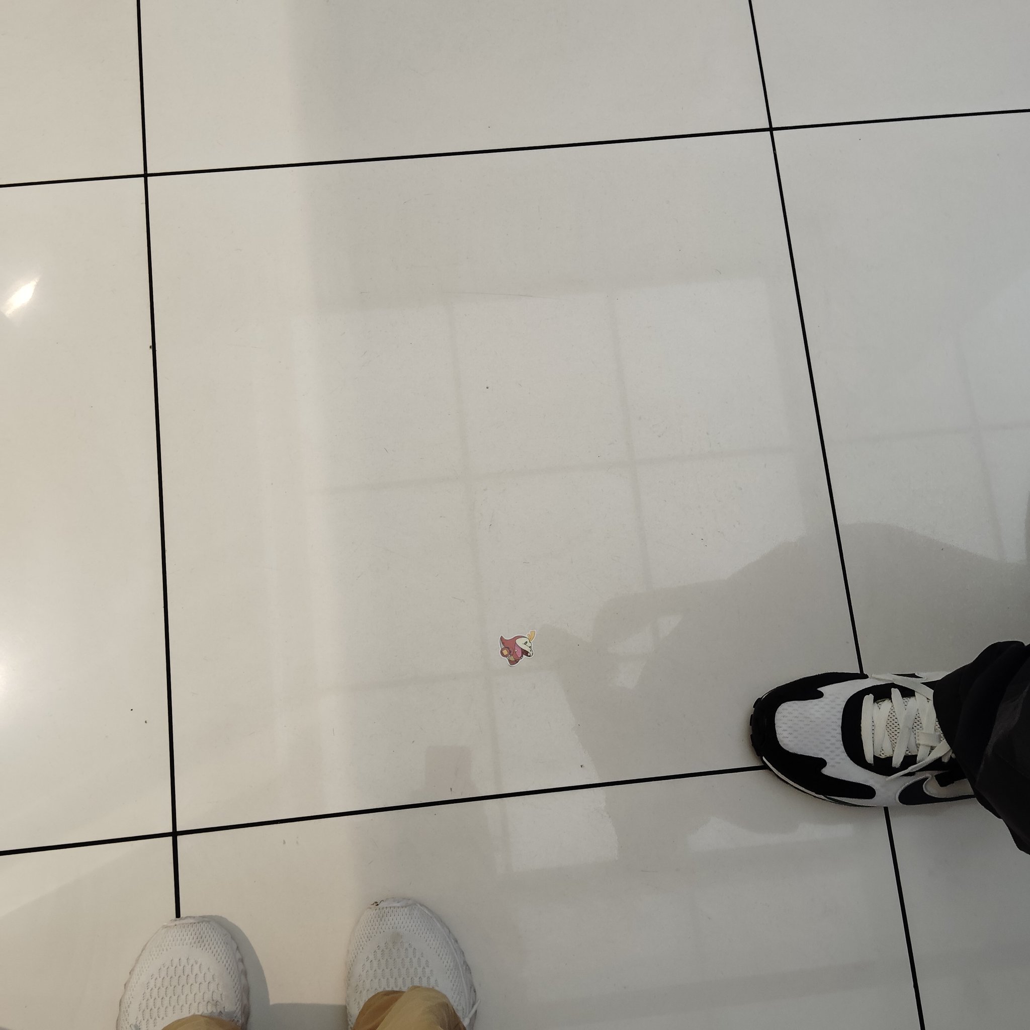 ◆ ぽこた  ② ぽこぽこ on X: 