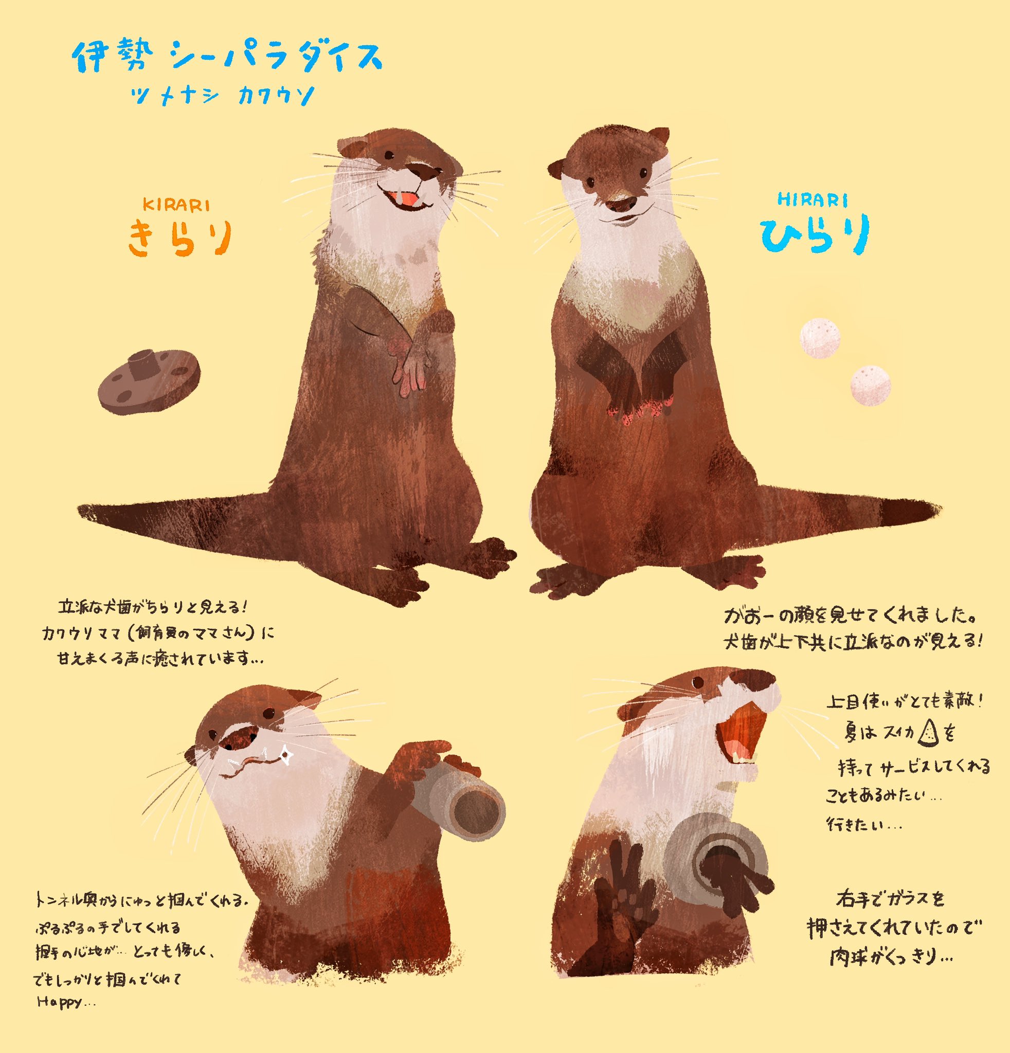 カワウソ梅 sddefault.jpg
