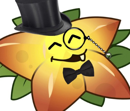 An Insanely Good Looking Starfruit tweet media