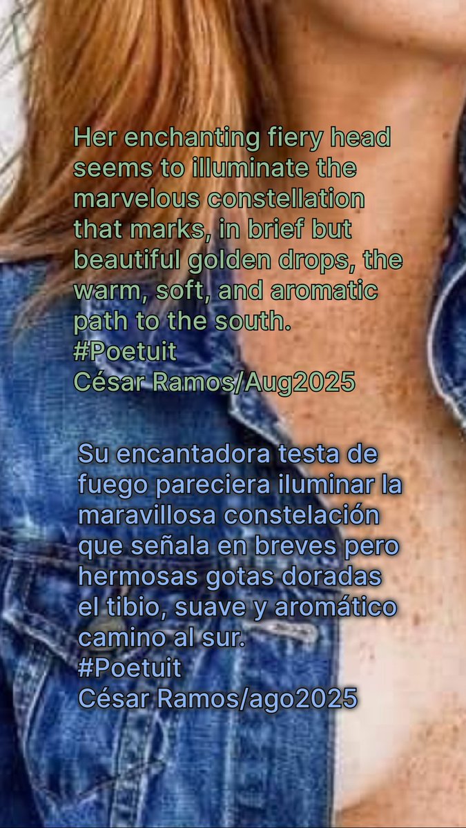 webmasterazul's tweet photo. Su encantadora testa de fuego pareciera iluminar la maravillosa constelación que señala en breves pero hermosas gotas doradas el tibio, suave y aromático camino al sur.
#Poetuit
César Ramos/ago2025 https://t.co/aox5ttCt6m