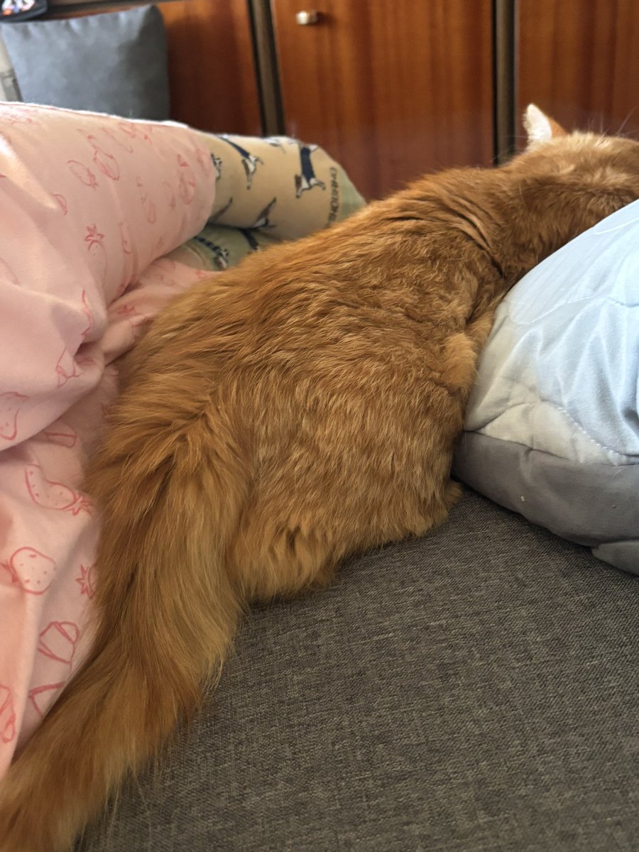 Вам треба задонатить на цей збір друзі 

Сьогодні понеділок
Отже показую жопу 

send.monobank.ua/jar/9zy4XMnQZf