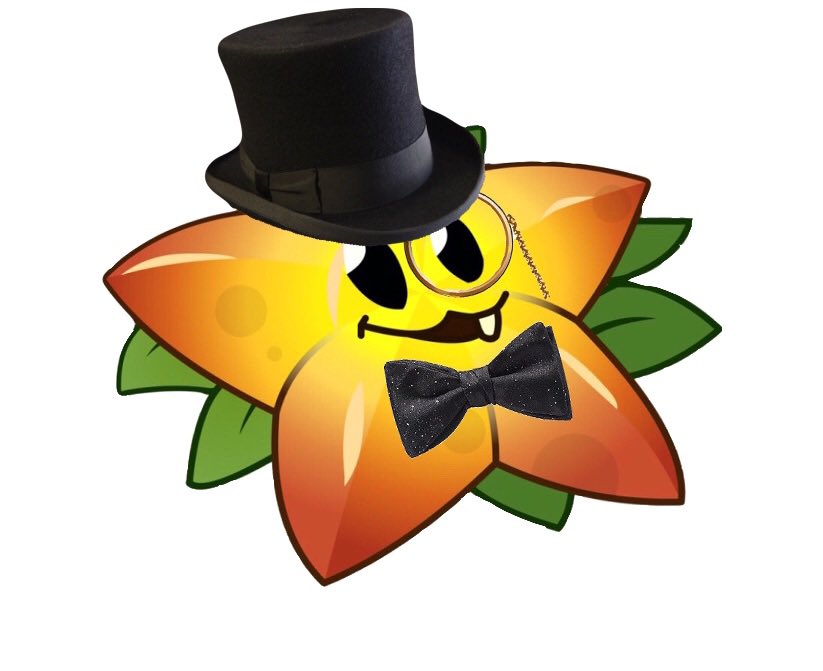 An Insanely Good Looking Starfruit tweet media