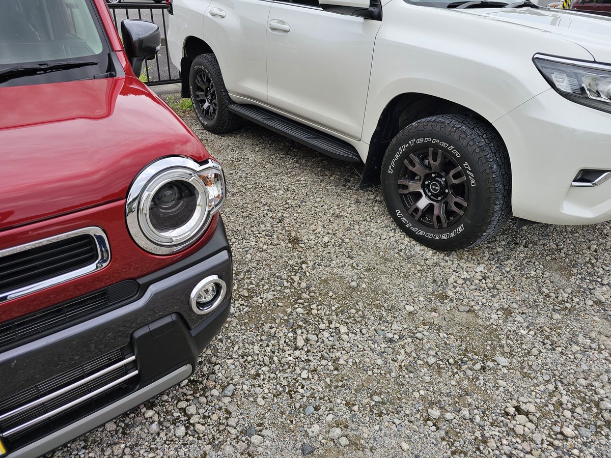 しろいこなさんがログインされました