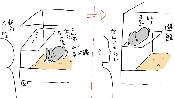 現状🐇 