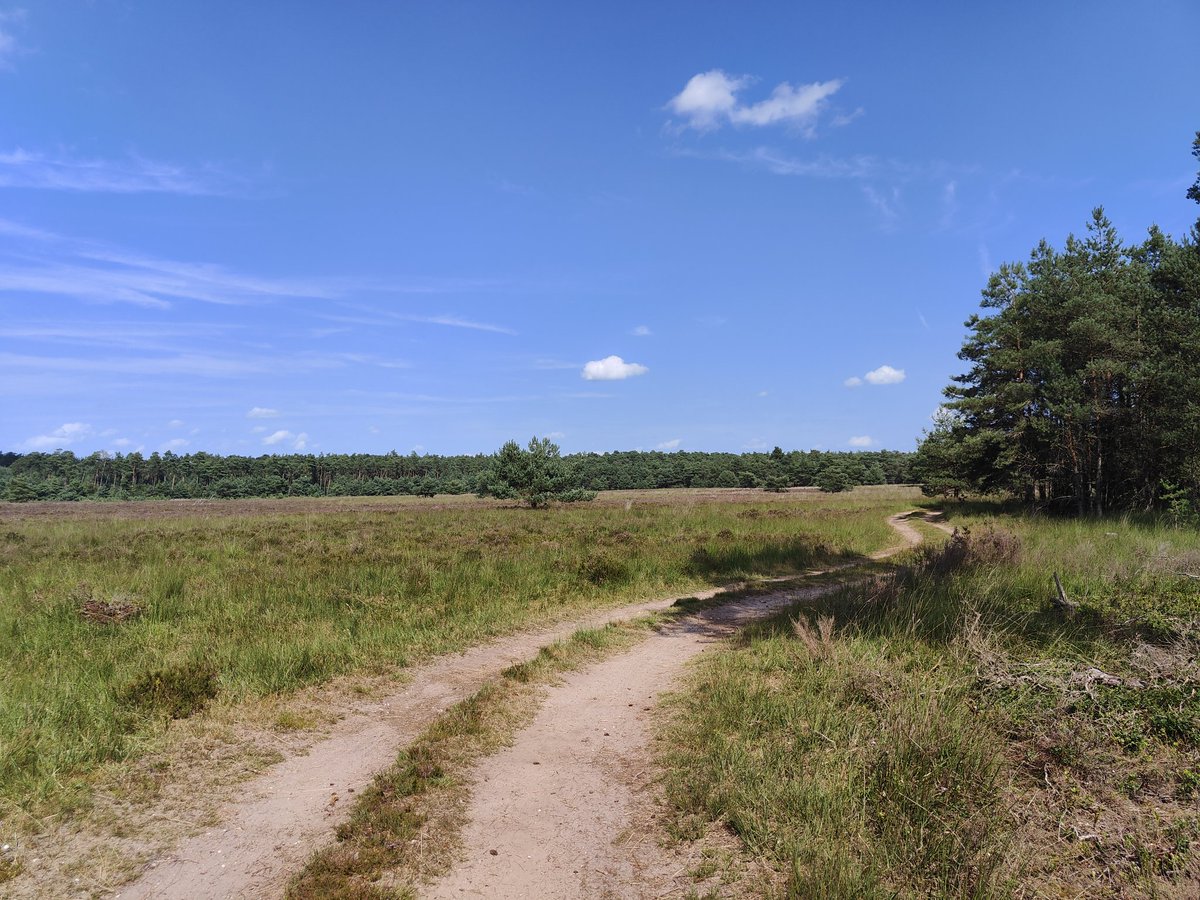 Goedemorgen. Blijft uniek. Midden in de vakantietijd kom je op plekken, vlak bij drukke campings, en je komt niemand tegen. Terwijl het er zo mooi is. 
Geniet van de maandag.