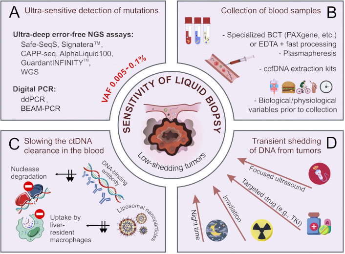 ETAT_journal's tweet photo. 🧬 New #Review Alert!
We're excited to share the latest publication:
" Improvement of the sensitivity of circulating tumor DNA-based #LiquidBiopsy: current approaches and future perspectives "
🔗 Full article: https://t.co/mSBjo0s0Wi https://t.co/nerfxJ4Em1