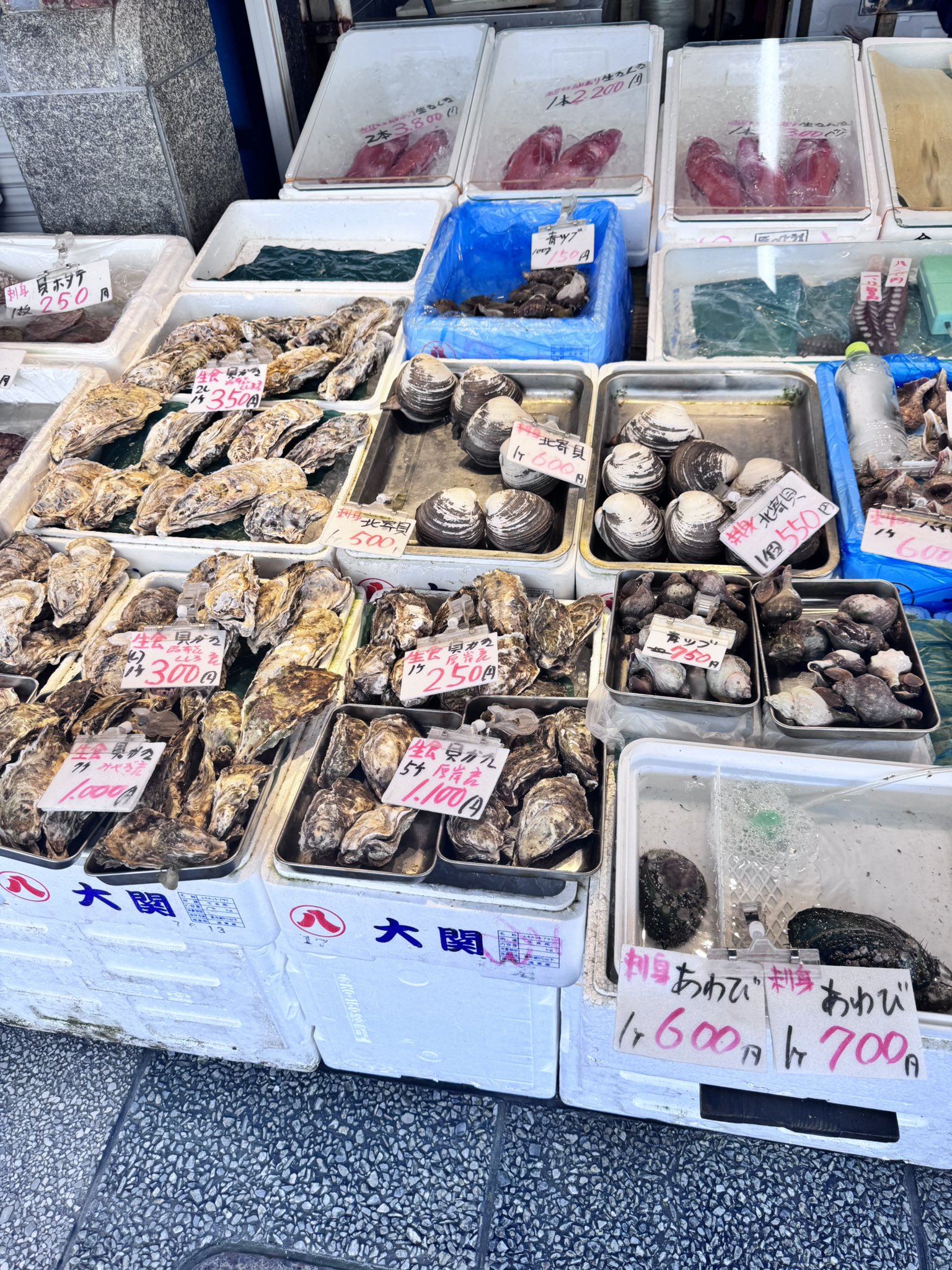 ♡ポコちゃん♡‼️おまとめです‼️ bochan_fuku day ! 子鉄なふたり 常に山手線 が手に🫡🤍笑