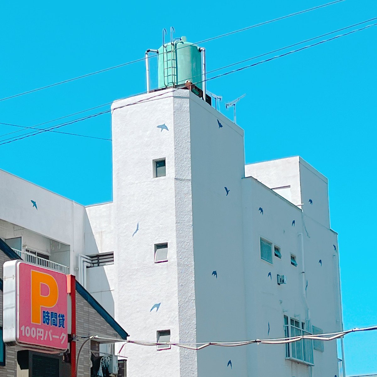 🐬明日だぜ〜たのしみ🐬
8/12(火)歌う魚
『うみのおさかな』
act)
森絢音
モリノササイ
君は田口
橋本泰河
イシトメグミ
 
open/start  18:30/19:00
adv/day  ¥2500(1d別)
［配信URL］
youtube.com/channel/UCpxzA…
［投げ銭URL］
passmarket.yahoo.co.jp/event/show/det…