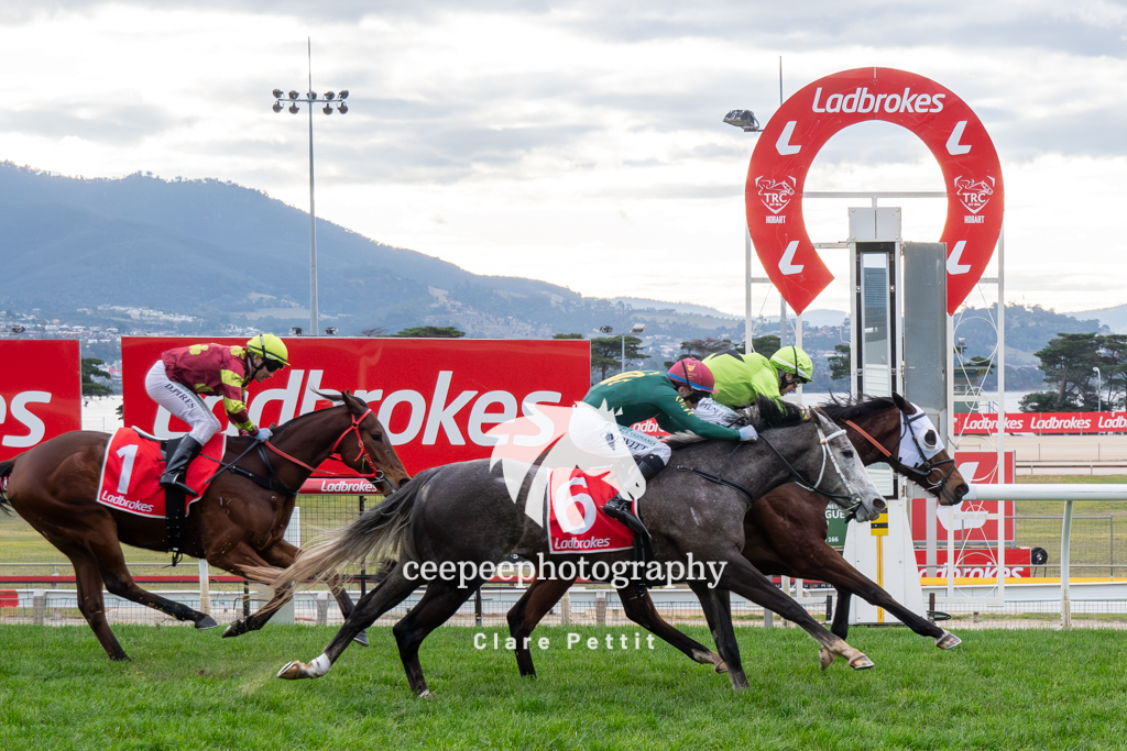 It may have been a winters day but it had summer vibes with some of our carnival contenders hitting the track.  Star 2YO Zany Girl was ultra impressive resuming as a 3YO for the first time whilst Alvarinho was back to her best getting the chocolates in the C6. #TF #tasracing