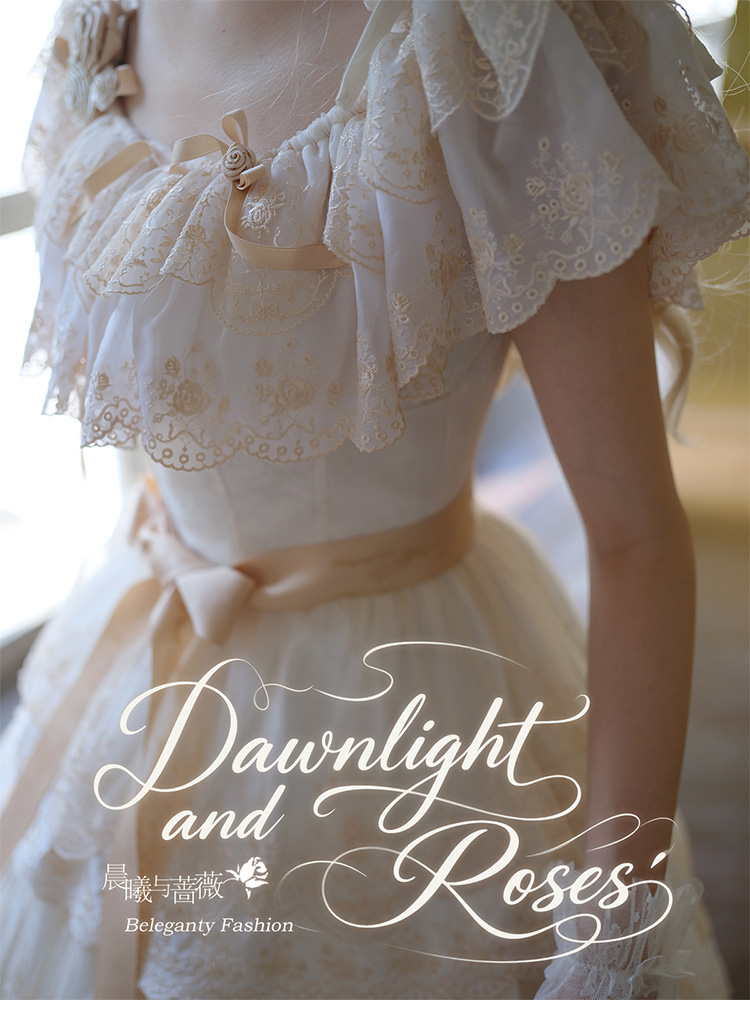 アンティークローズ刺繍 梯子ドローンワークレース アイリッシュオーガンジークロス フランス アンティーク レース オーガンジー 刺繍 - メルカリ