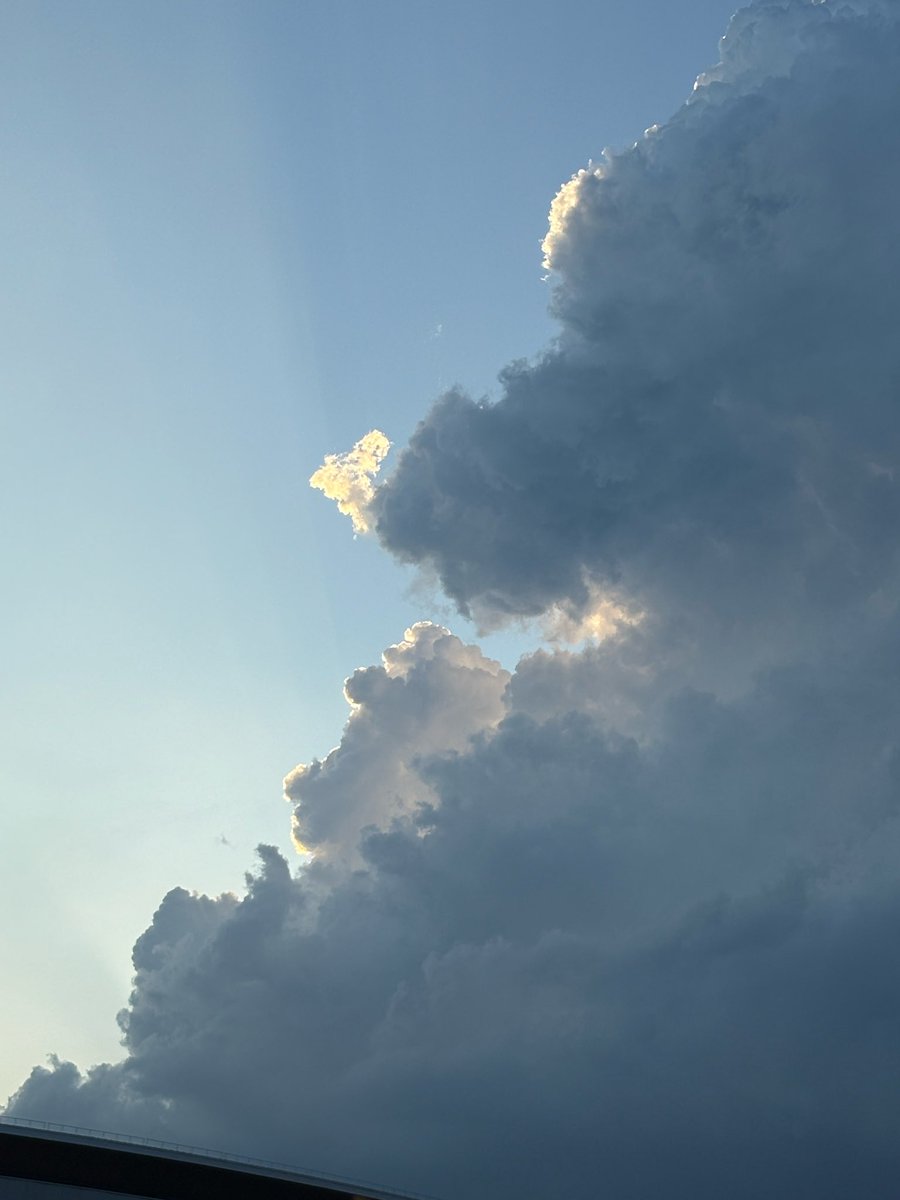katarineyu's tweet photo. Saw an alligator in the clouds… or maybe he saw me first. https://t.co/qN8JjsipMu