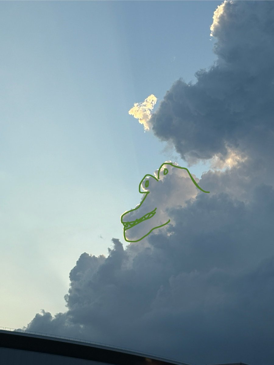 katarineyu's tweet photo. Saw an alligator in the clouds… or maybe he saw me first. https://t.co/qN8JjsipMu