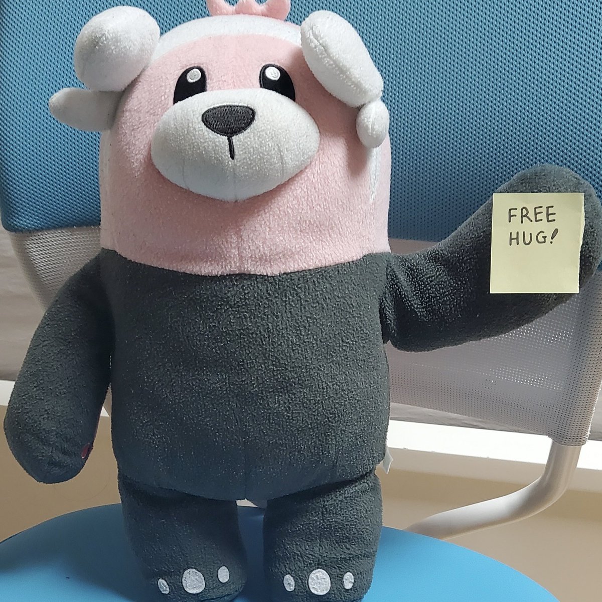beungom's tweet photo. Free Hug💕
(怖くないです！)
#ポケぬい #キテルグマ
#포켓몬인형 #이븐곰 https://t.co/XWlJQtGHtU