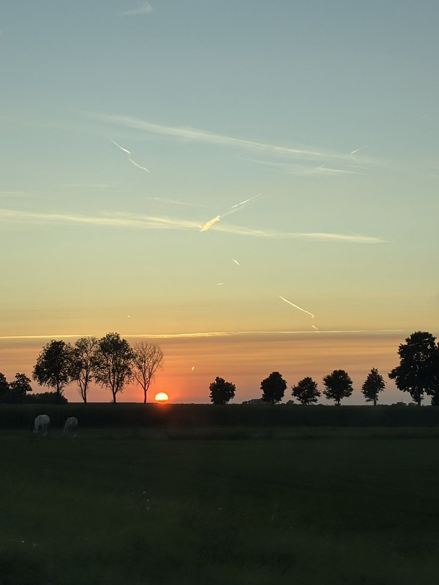 hcdejong's tweet photo. 🌅when the sun is going down
#sun #NaturePhotography #wildlifephotography #nature #sky #MondayVibes #photoghraphy #PictureOfTheDay #nofilter #herwijnen https://t.co/SxpqS9spCR