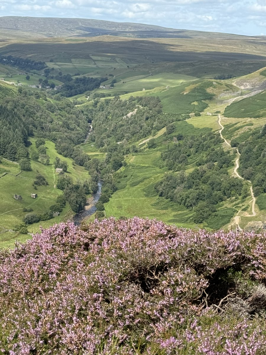 We love #Swaledale at this time of the year 💮 We thought we'd share this view for some #MondayMotivation!

We hope you had a good weekend. Share your #Dales photos with us, and we may post them on our social media accounts 🙌

📸 Mark Sadler | #GetOutdoors #NatureTherapy