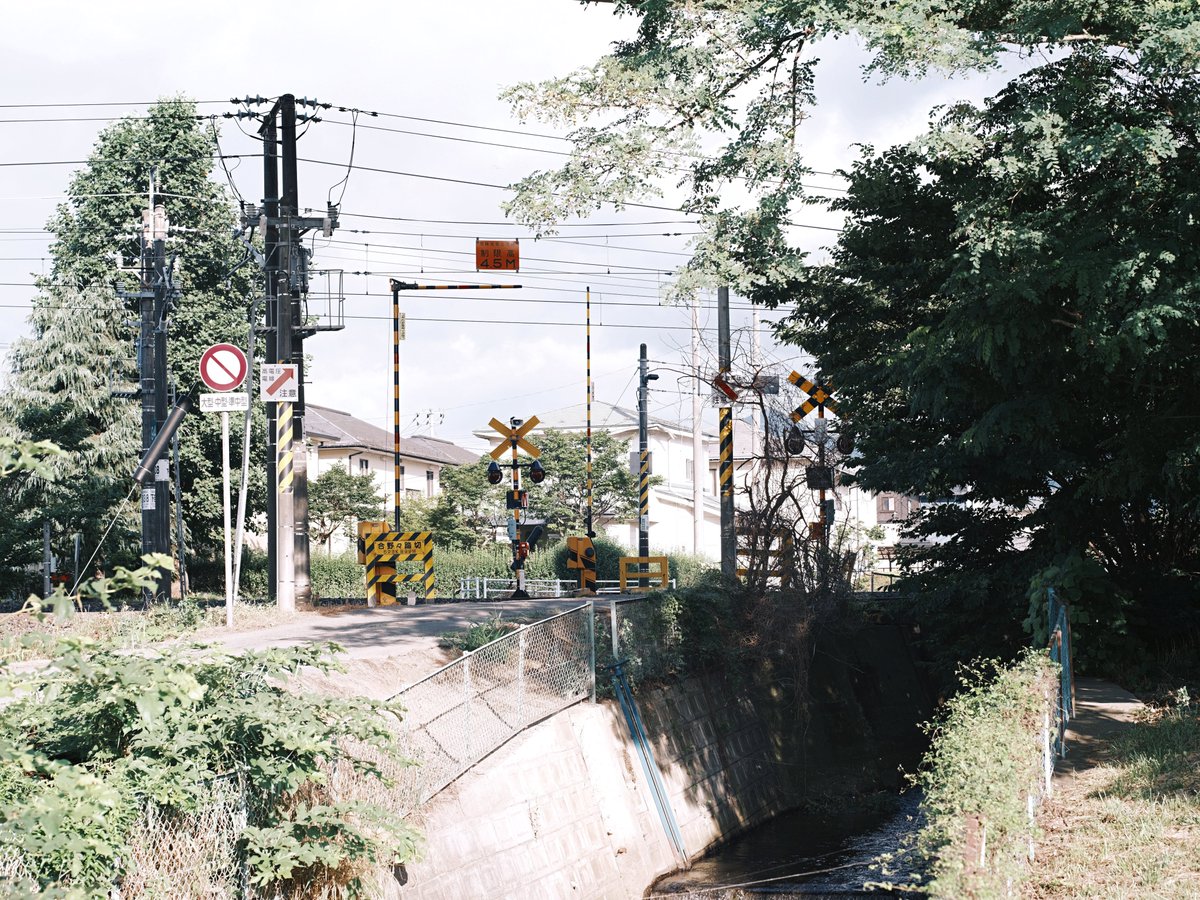 𝚖𝚘𝚗𝚔𝚢𝙳𝙸𝙾 (@monkydio) on Twitter photo 