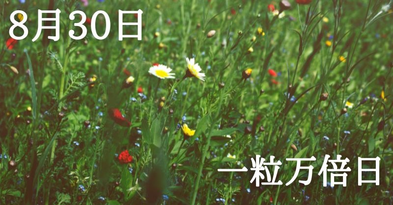 solaritaservice's tweet photo. 本日は一粒万倍日！

一粒が万倍に実る収穫の吉日に

月が射手座に移動

スタート&amp;拡大の運気！

星と暦からあなたの本日の運勢を占い、120段階のランキングでお伝えします！