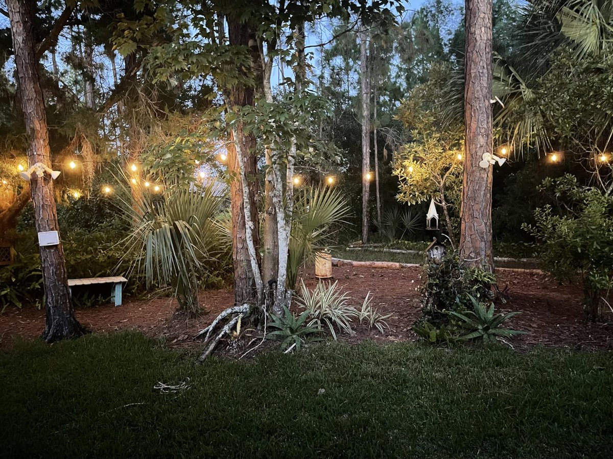 Yunchengfactory's tweet image. 🌏💡 Yuncheng String Light Import from China
 Reliable String Lights Direct from the Source.

📞 ehelight.com/product/st38-c…

#YunchengLighting #StringLightsFromChina #LEDStringLights #LightingImport #BulkLightingSolutions #B2BLighting #ChinaLightingSupplier