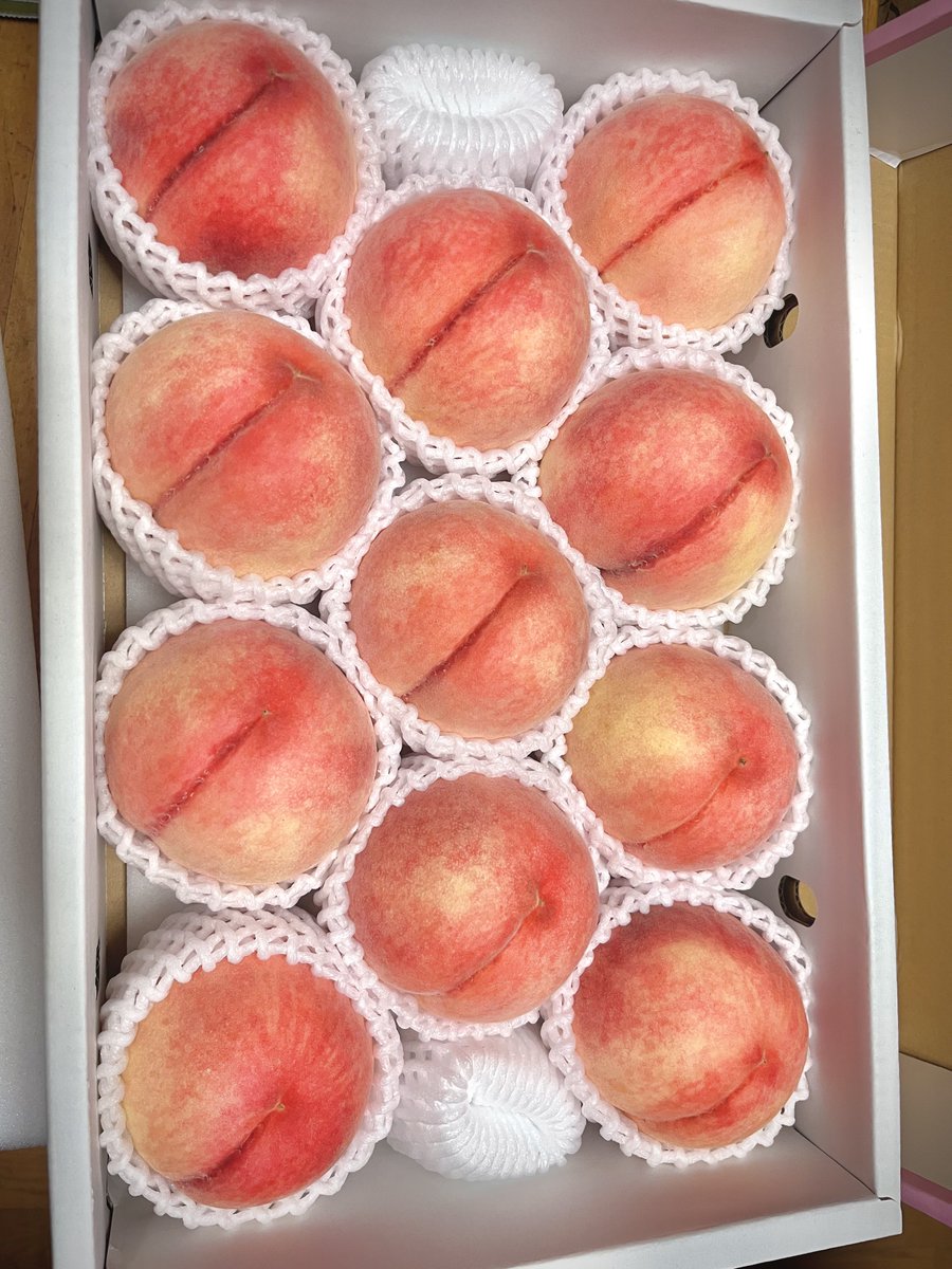 ここが桃源郷ってわけ