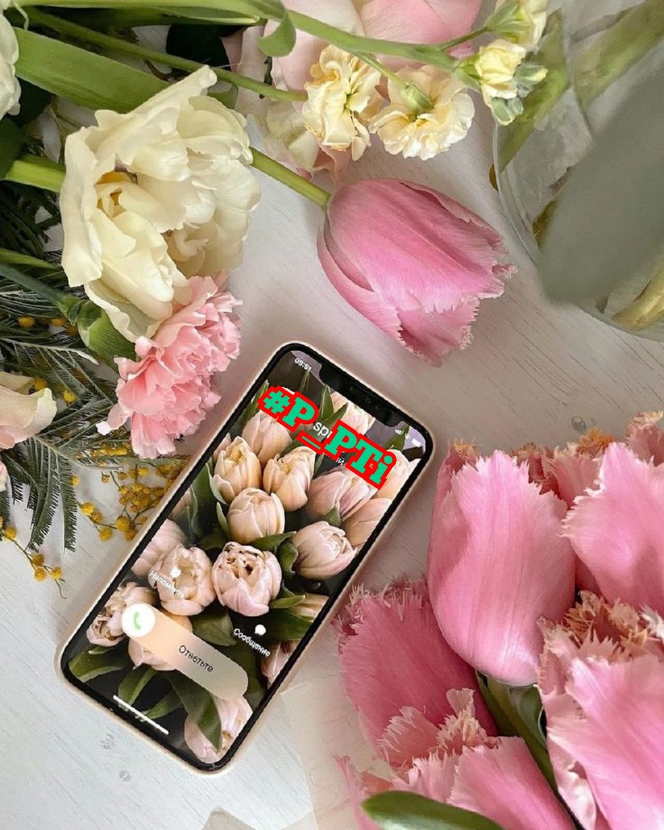 #P_PTi ❤️
<a href="/MNPTi1/">𝙈𝙪𝙣𝙨𝙞𝙛 🫶 ابوسلم ≛⃝🔶</a> <a href="/NM1k_/">༺ 💎𒆜𝑵𝑬𝑬𝑵𝑨𝑯𒆜💎 ༻</a>
<a href="/Y22NY/">YASEEN</a> <a href="/As40t/">𝐀 𝐒𝐚𝐭𝐭𝐚𝐫</a>
<a href="/CarloSportfan/">SportISmyLIFE ⚽⚾🏀🏐🏈🎾🎳🏏🏓⛳</a>
<a href="/HalconaUFF/">♥️Elena Amelia M ♥️#𝔻𝕖𝕁𝕒𝕡𝕠𝕟𝔸𝕣𝕚𝕘𝕒𝕥𝕠🌸</a>
<a href="/Sprxzy2/">Umar</a>
<a href="/P_PTi3/">𝙈𝙪𝙣𝙨𝙞𝙁 𝐏𝐑𝐎𝐌𝐎𝐓𝐄𝐑</a>
<a href="/P_PTi4/">𝐍𝐨𝐬𝐡𝐞𝐞𝐧 𝐀𝐮𝐫𝐚𝐧𝐠𝐳𝐚𝐢𝐛 ‎ᵀᵉᵃᵐˢᵒᵏ</a>
<a href="/Ir3t_/">Irfan Zdeb 🚘</a>
<a href="/Hfz_2/">Abdul Hafeez</a>
<a href="/553ik/">Rabiqueen 30</a>
<a href="/Dni_40/">Daniyal</a>
<a href="/shZ447/">🌻🌻🌻𝕊𝕙𝕒𝕙𝕫𝕒𝕕 𝕄𝕦𝕟𝕚𝕣🌻🌻🌻</a>
<a href="/b_ngsh12/">✯𝓐𝓛𝓘 𝓚𝓗𝓐𝓝 𝓑𝓐𝓝𝓖𝓐𝓢𝓗✯🇵🇰🇺🇸 ⚔️🦌</a>
@00munsif
<a href="/zubm9231/">ZUBAIR Muhammad</a>
<a href="/ZUMARk0/">ZH</a>
<a href="/Avishek_KG__/">Avishek KG</a>
<a href="/MarinaEle23/">❣️Marina Elena V.❣️#𝔻𝕖𝕁𝕒𝕡𝕠𝕟𝔸𝕣𝕚𝕘𝕒𝕥𝕠🌸</a>
<a href="/2015Suheyla/">Süheyla</a>
<a href="/Venus__2023/">Venus</a>
<a href="/NawarAllawi/">#NawarAllawi 🌿🕊❤🦂_‌نوار</a>
<a href="/_aditi_kumari_/">Aditi Kumari Singh 🐬#MGWV 🐬#1DDRIVE</a>
<a href="/monchitoMillo/">Roque</a>
<a href="/halconavicencio/">🌹❤️ELENA MIRANDA V.❤️🌹#E̲l̲e̲M̲i̲r̲a̲n̲d̲a̲</a>