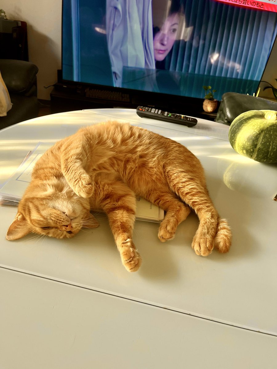 1ヶ月遅れの古希の祝いをしてもらいました😊
プレゼント一杯！
ありがとう😭
#ぬるま湯に浸かった猿
#Amazonギフト券