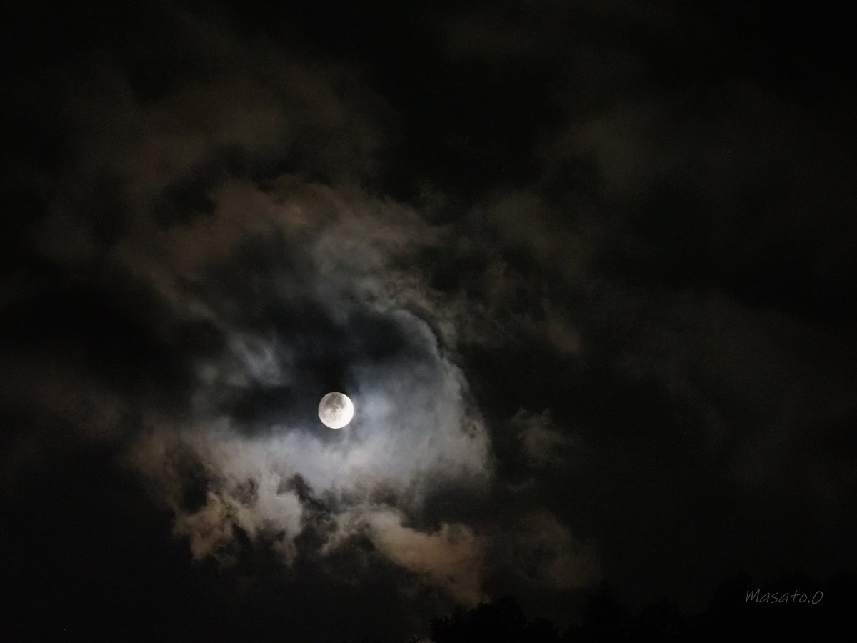 Otch0627's tweet photo. Aug 7,2025  20:34
#olympus #omd #オリンパス部 #オリンパス倶楽部 #em1mk3 #omdem1mark3 #lumix #lumix100400 #lumix100400mm #月 #moon #satellite #leicadgvarioelmar100_400 #lunar #moonphoto #moonphotography #moonphotography🌙 #moonlovers #moonphotographer https://t.co/iQcuBZ5Bh4