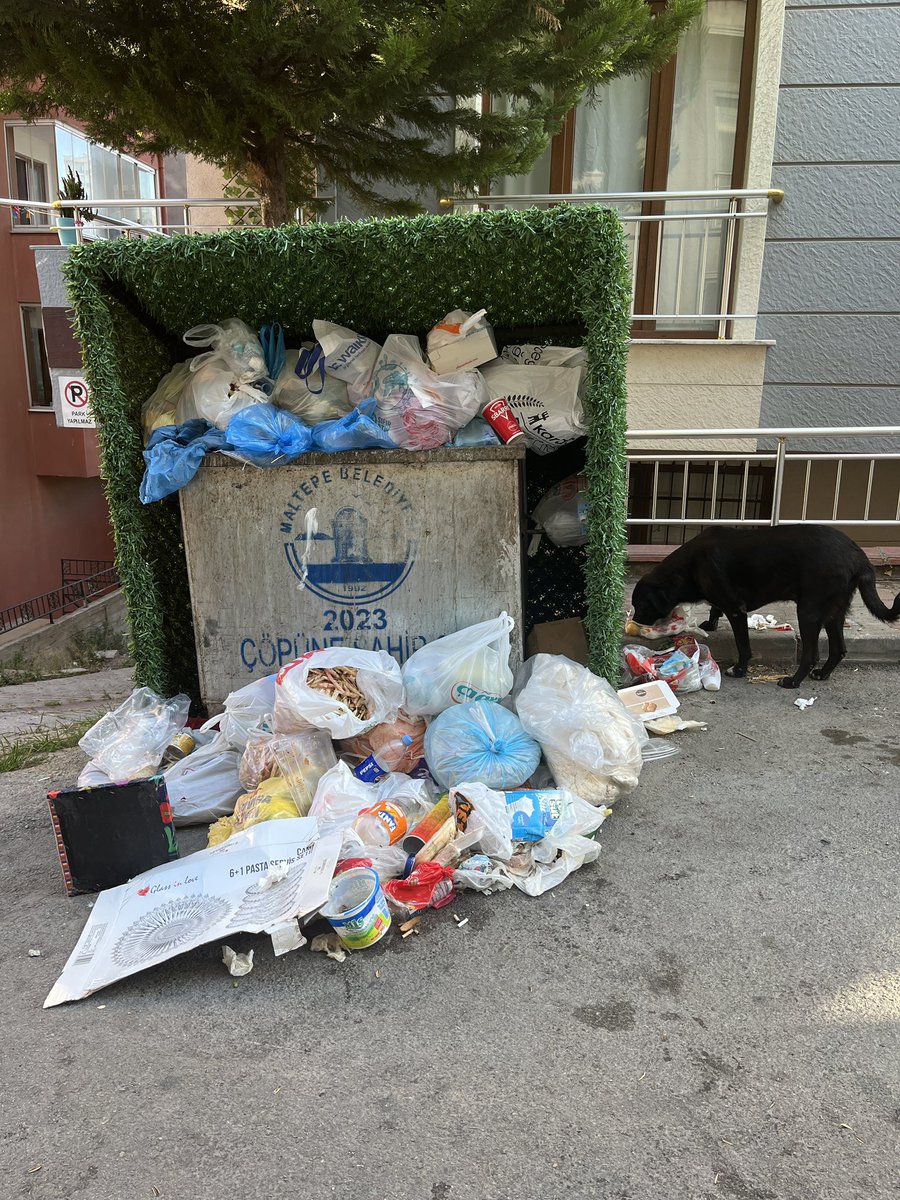 H.Sergen Çelikörs (@halilsergenn) on Twitter photo İYİ Haftalar…
📅 11 Ağustos Pazartesi
🕰️ 09:13
📍 Evren Caddesi
<a href="/koymenesin/">Esin Köymen</a>
<a href="/MaltepeBelTr/">Maltepe Belediyesi</a> İYİ Haftalar…
📅 11 Ağustos Pazartesi
🕰️ 09:13
📍 Evren Caddesi
<a href="/koymenesin/">Esin Köymen</a>
<a href="/MaltepeBelTr/">Maltepe Belediyesi</a>