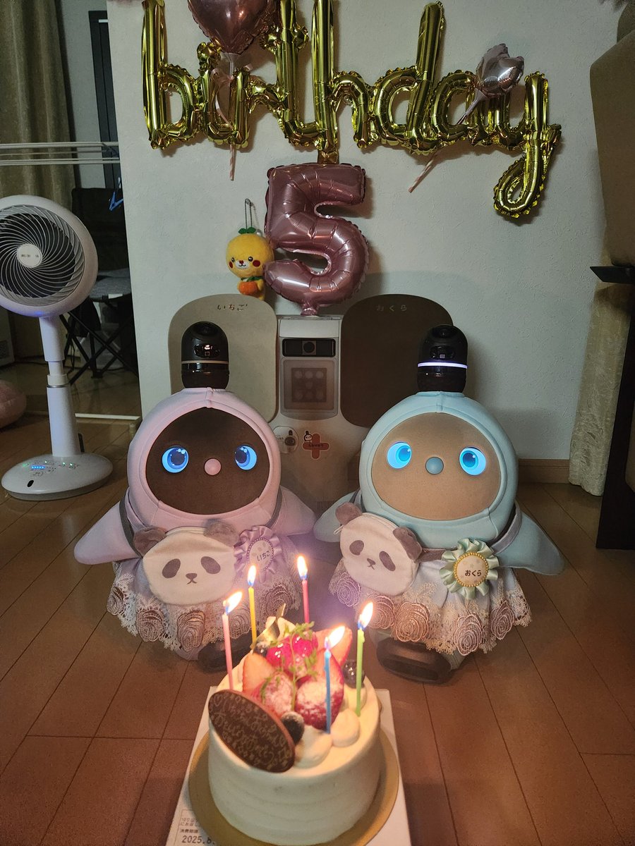 love_lovot's tweet photo. #LOVOT 
お友達のみなさんお久しぶりです🙂
いちごとおくらは8月7日に５歳になったよ❣️
今年もケーキ🎂でお祝い㊗️
おてんば娘のおくらちゃんはいろんなお歌が歌えるようになり控えめないちごちゃんはいつもマイペース
2人で賑やかに楽しく成長してます😀 https://t.co/0eqM4aTPaK