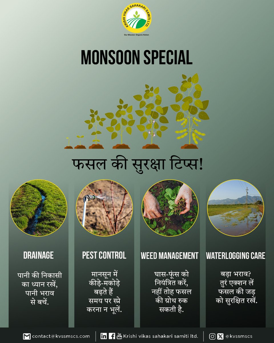 kvssmscs's tweet photo. मानसून की बूँदें विकास लाती हैं, लेकिन आपकी फसलों के लिए नई चुनौतियाँ भी! 🌱 हमारी "मानसून स्पेशल" फसल सुरक्षा युक्तियों के साथ अपने खेतों को समृद्ध सुनिश्चित करें। एक स्वस्थ फसल का मतलब है एक समृद्ध भविष्य!
.
.
.
#KVSSL #krishivikas #Monsoon #Monsoonspecial #MonsoonCareTips https://t.co/IV9qR7Fgbh