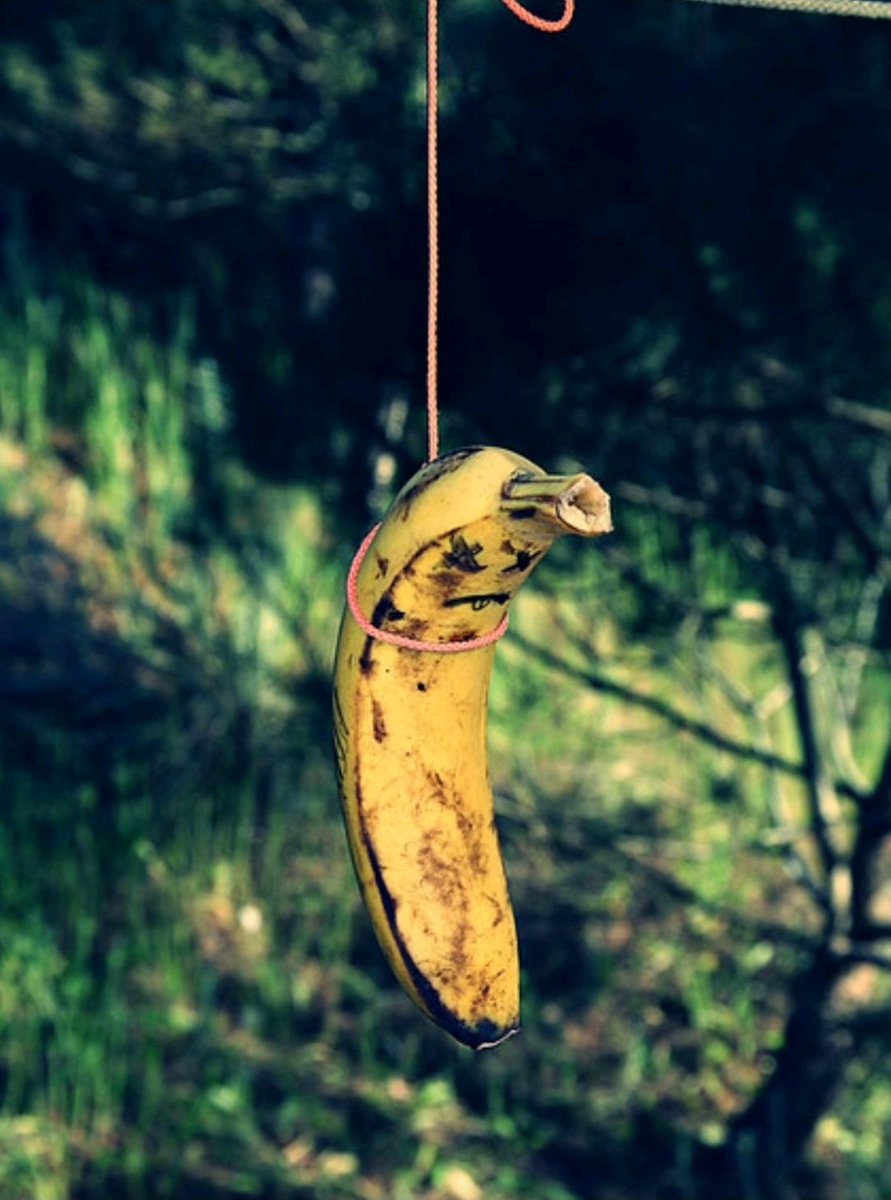 Identifiquen al personaje. 🤣🤣🤣🤣