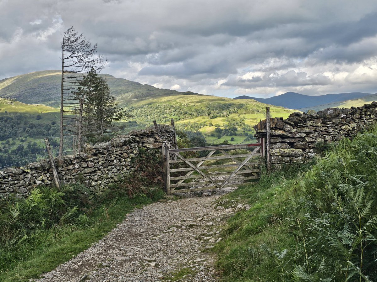 vixster1968's tweet photo. Glorious Cumbrian views from a gathering of gorgeous gates https://t.co/aBVw5YeStJ