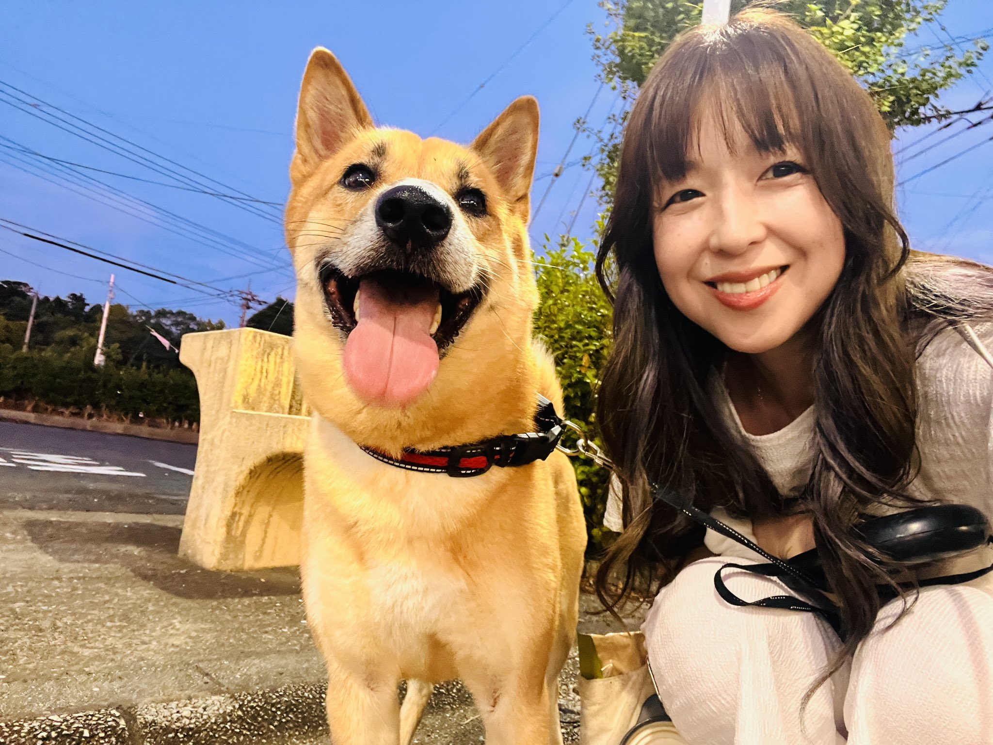 斉藤梨絵 on X: 