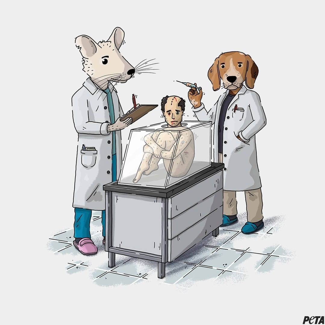 動物実験を廃止して、死刑囚とか性犯罪者を使ったらいいと思う。
そう言うと、非人道的とか人権がーとか言う人がいる。
非人道的で人様の人権を無視したのが犯罪者でしょ。
人間試験不合格なんだから、人権の適用外ですよね。
だから、実験とテストに使ったらいいと思う。

＃StopAnimalTesting