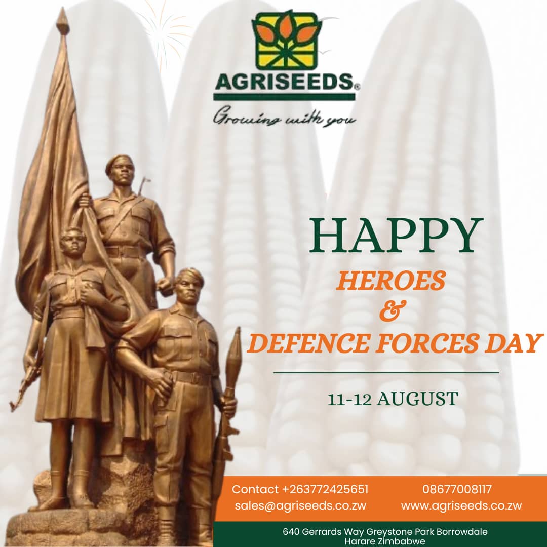 Happy Heroes and Defence Forces Day