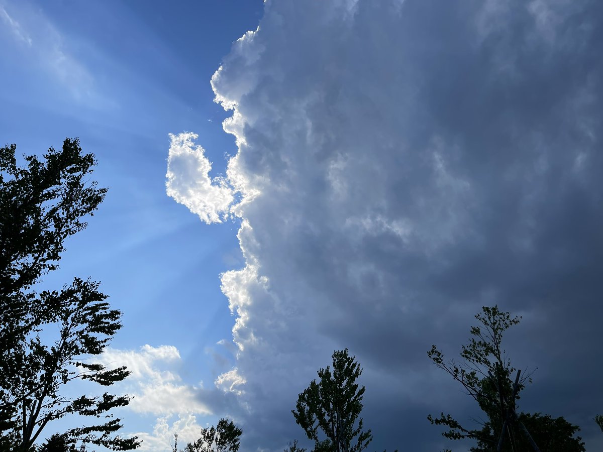 sakura10mon's tweet photo. このあと土砂降りになりました🌧️ https://t.co/NLEUnWJiat
