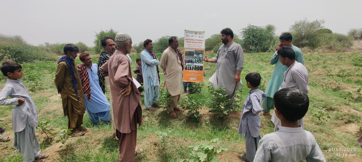 GLLSPII's tweet photo. Under the GLLSP-II Project funded by IFAD, The FAO Trainer Mr. Noman Khan conducted climate-smart agriculture sessions in Watori and Piprani, UC Wayarah, Lasbela. https://t.co/lzqkRG3hRs