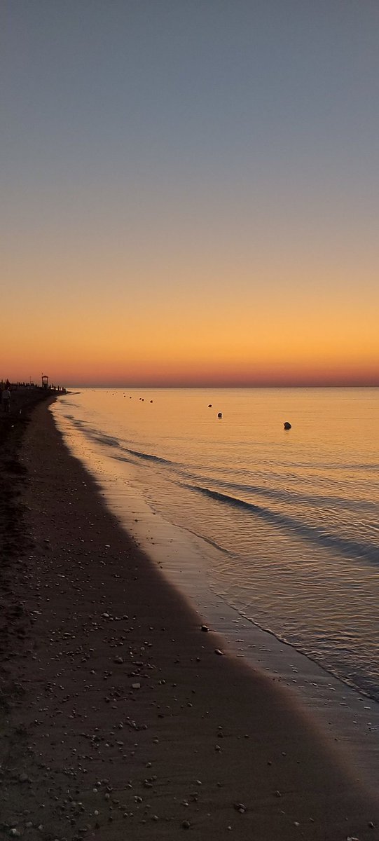VanniLaGuardia's tweet photo. Attenderò che l'alba mi lucidi i nervi
e guarderò le parole levigate dalla nebbia
solamente per sentirle risuonare
come tonfo di roccia nel fango
Sulle rive ho costruito i miei sogni di sabbia
e mentre ti accoglievo, invocavi la marea.

#alguadodamatecorrentialternate https://t.co/whv4KV2Msk
