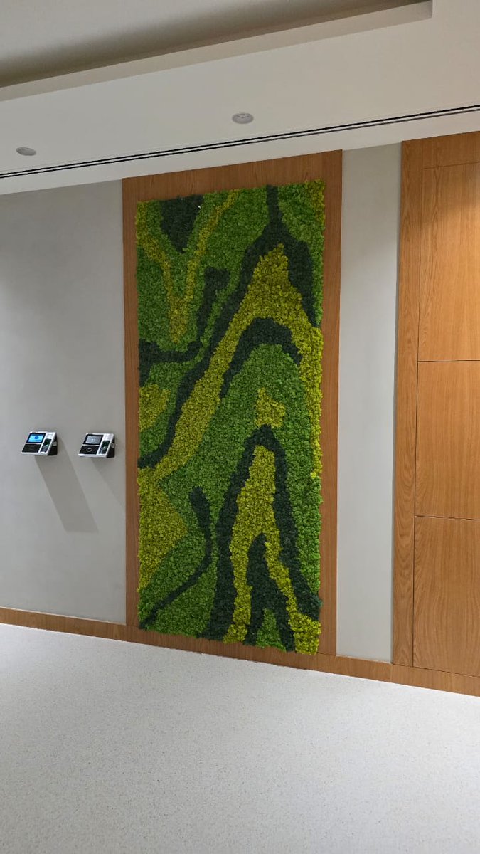 Greenmosswall's tweet image. 🌿 Mix Moss Wall Design – Rulers Court Project 🌿

🌐 greenartfactory.ae
☎ Voice/WhatsApp: +971 56 95 88 315 / +971 50 127 8530
📧 info@greenartfactory.com

#GreenArtFactory #MossWall #PreservedMoss #RulersCourt #PreservedMoss #Moss #CreativeTeam #Anydesign #dubai