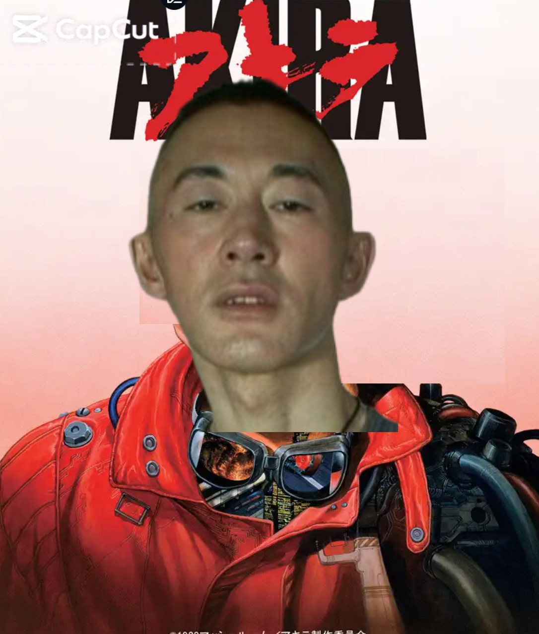 ⭐︎AKIRA⭐︎ページ Supreme AKIRA Neo-Tokyo L S Tee (FW17) - $58