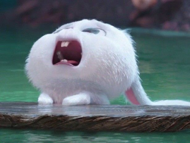 dongyangie's tweet photo. New obsession: ziyu's bunny 🐰 teeth, lmao😭😭.
I'm finished. The cuteness aggression goes insane. Still not over his anime legs, damn😭🥹

#ziyu
#RevengedLove https://t.co/V1Zc501dET