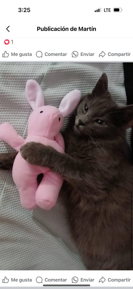 Así mi xiomarito precioso 🥺💗