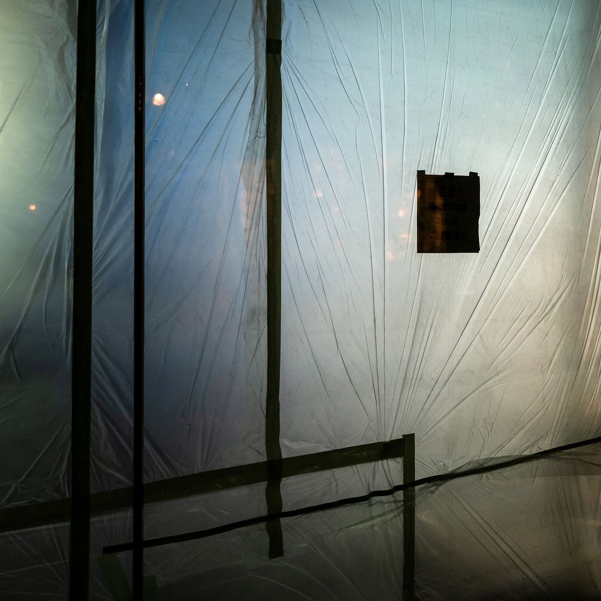 Lewis Bush tweet media